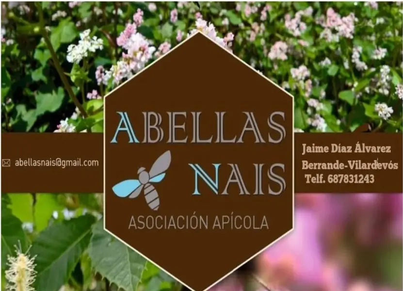 Abellas Nais